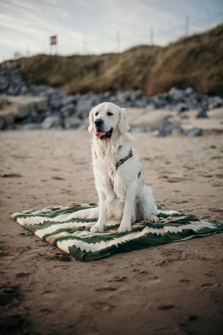 Tsachila Blanket - Forest Green